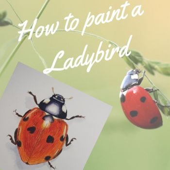 How to paint a Ladybird/ Ladybug.