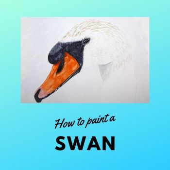 How to paint a Swan