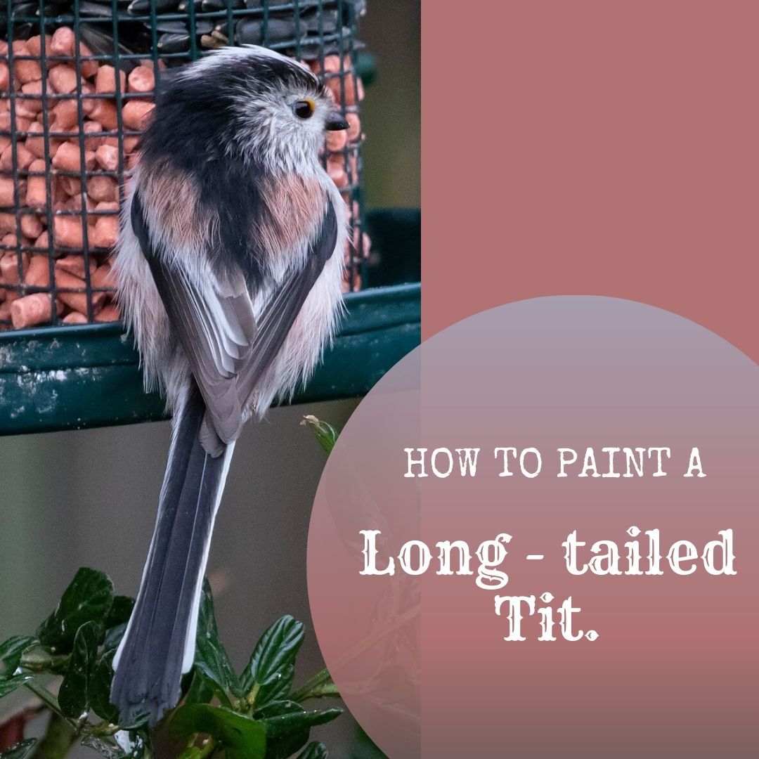 How to paint a Long - tailed tit.