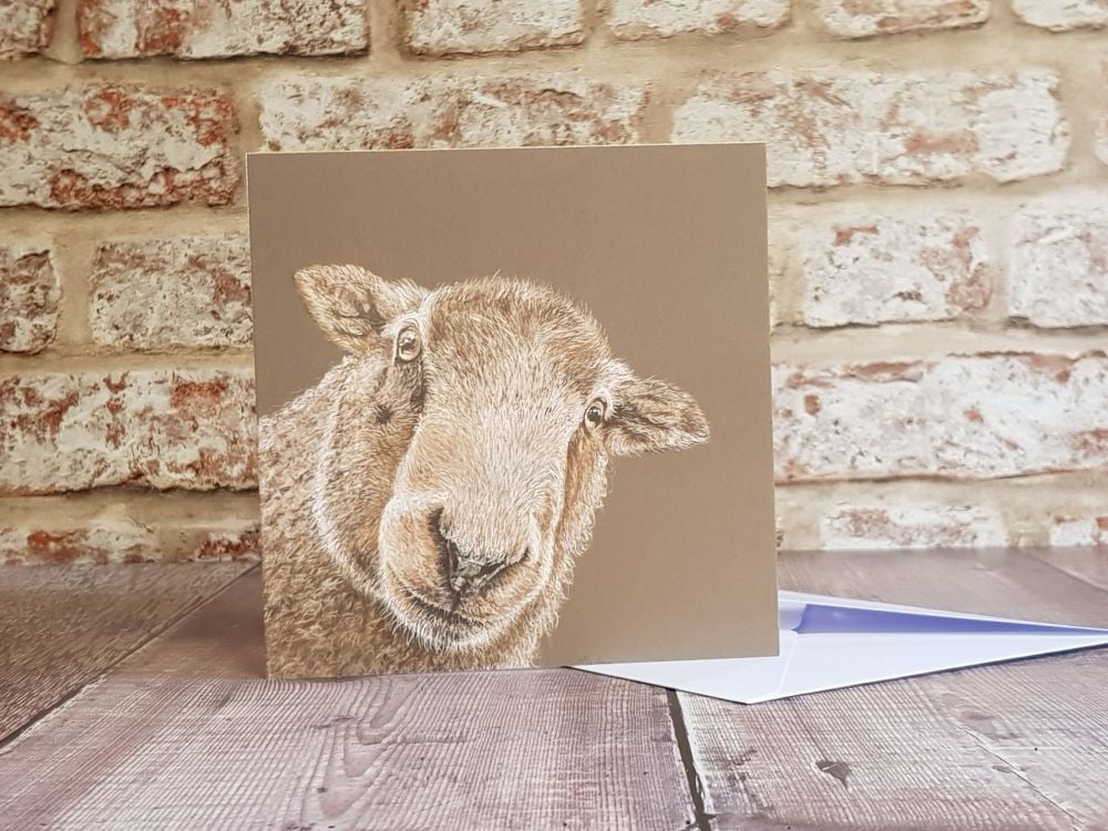 Sheep Card