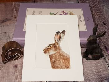Little Hare, Original Watercolour Painting.