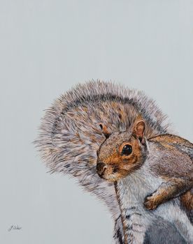 'Cyril the Squirrel' Giclee print size A4 25cm x 33cm