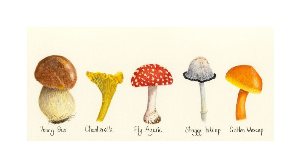 Mushroom Print.