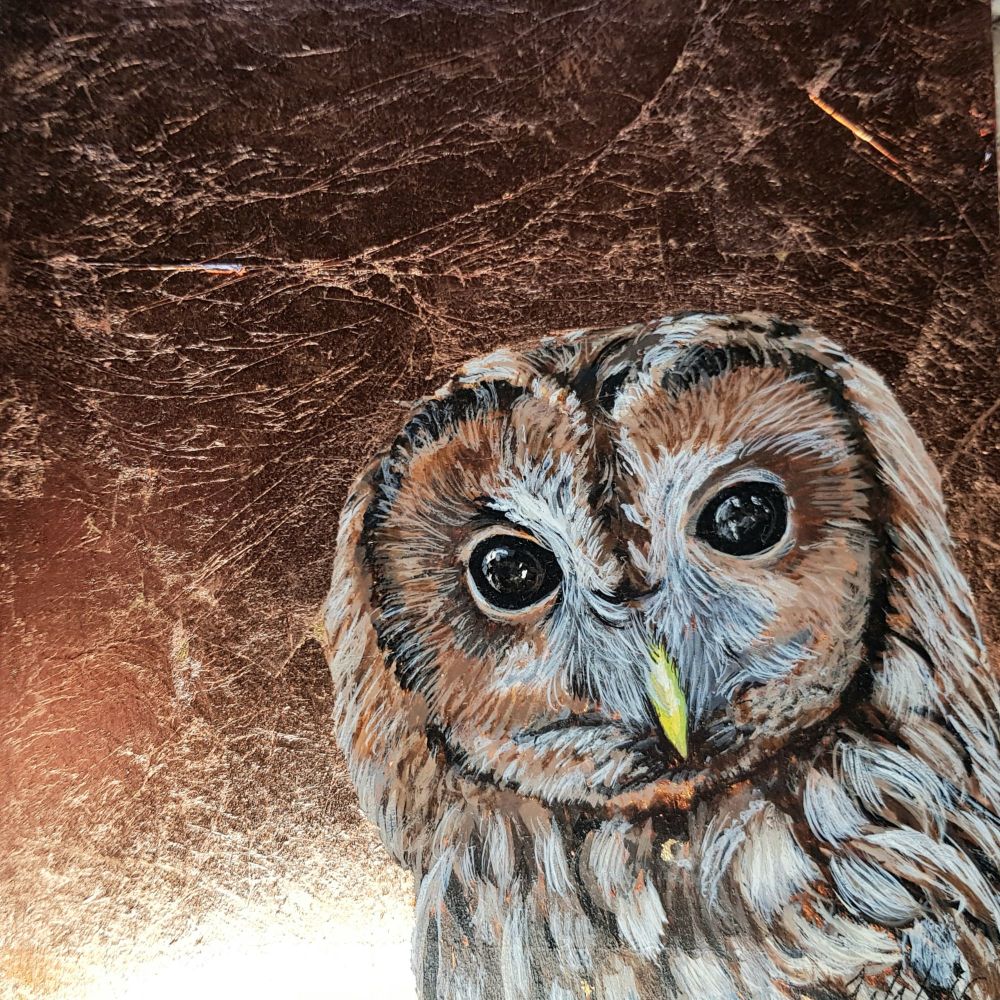 Tawny Owl Original Painting , 6