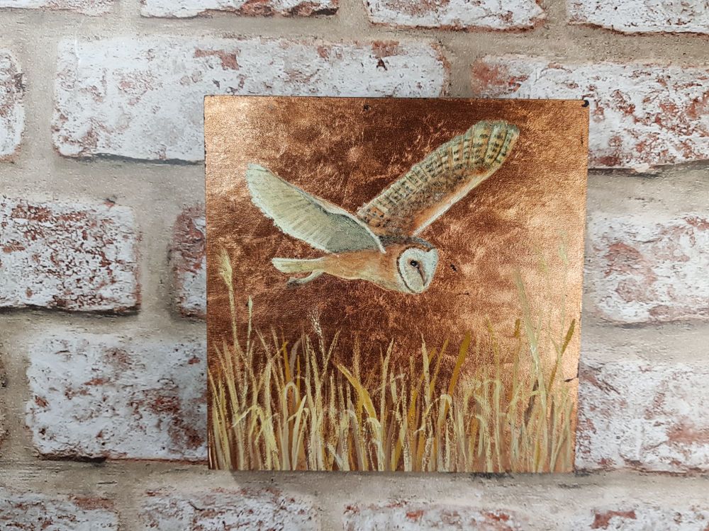 Barn Owl Painting. Size 6