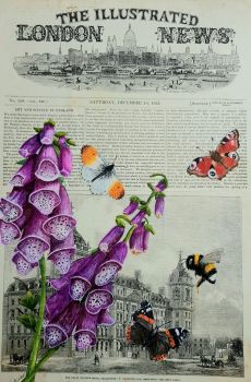 The Bee and the Butterflies - Giclée Print.