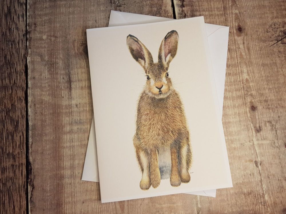 Waiting Hare Greetings card - Blank inside