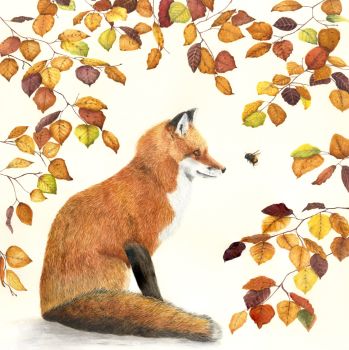The Autumn Fox, Giclée Print Size 18" x 18".
