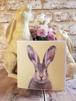 Pack of 5 Hare Cards.