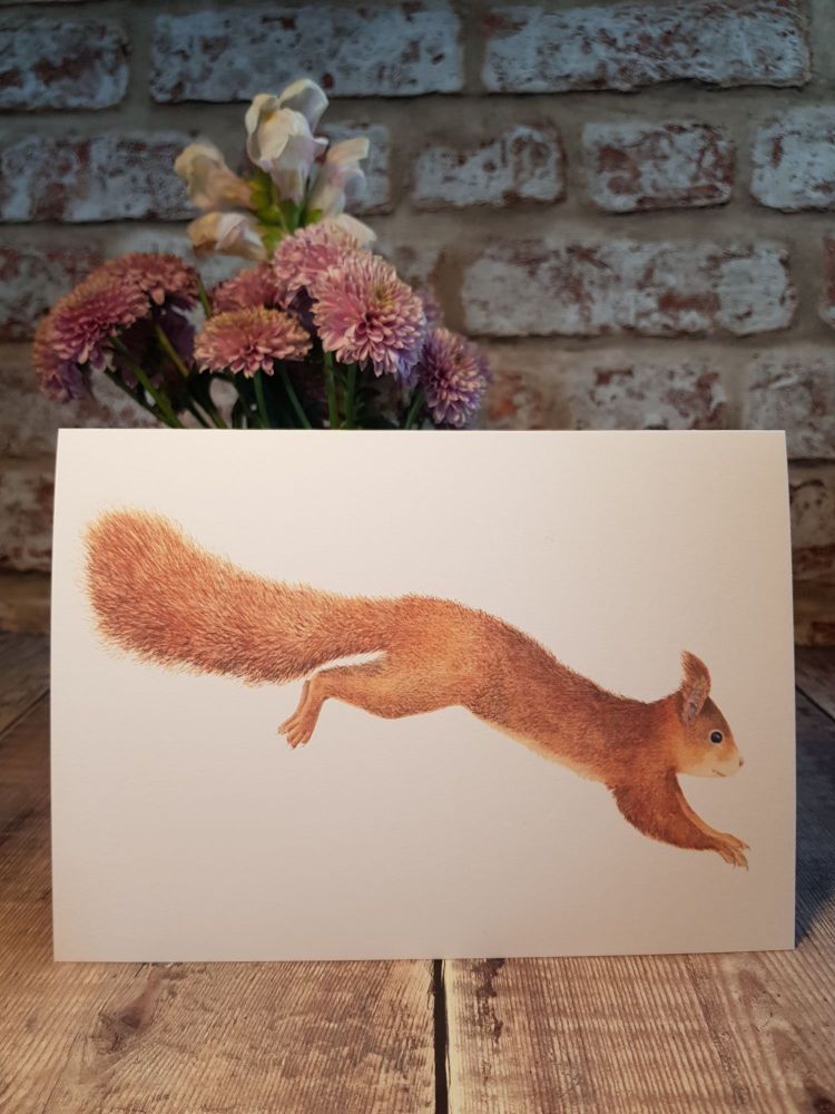 Squirrel Card - Red Squirrel Card - Greetings Card