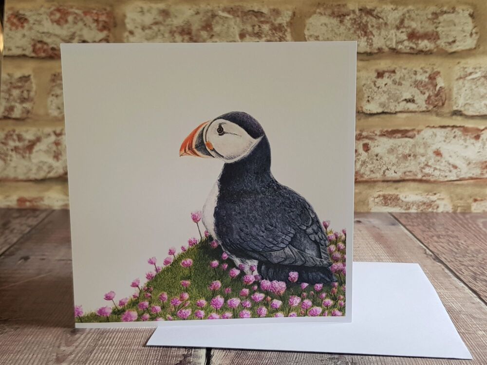 Puffin Greetings Card - Blank Inside.