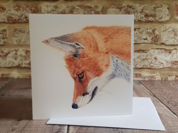 New Fox Greetings Card - Blank Inside.
