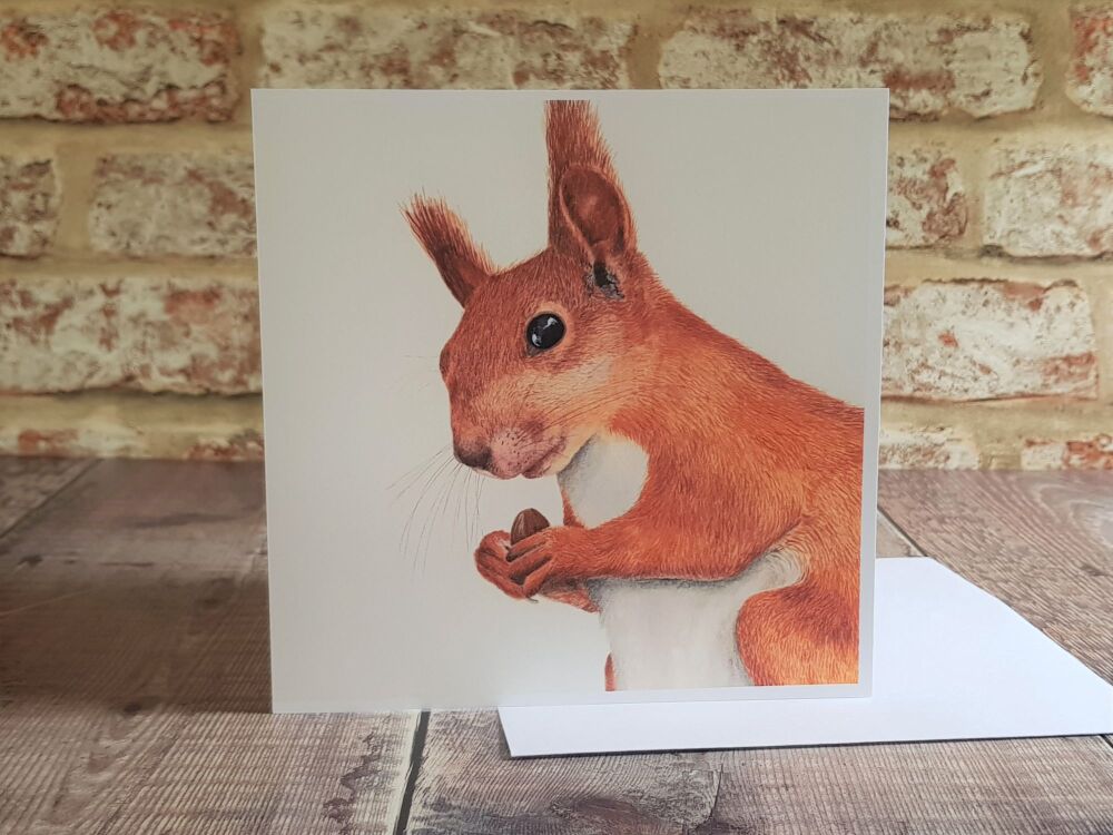 Squirrel Greetings Card - Blank Inside.