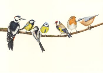 Saturday 7th December 2024.  Painting Garden Birds.