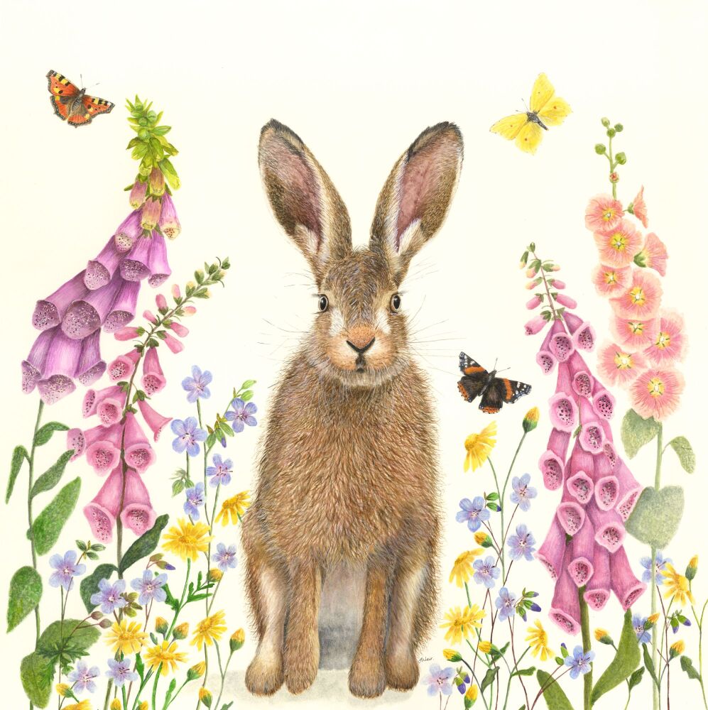 Hare Comes Summer, Original Watercolour Painting.