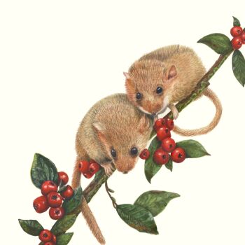 'Balancing Act', Giclee print.