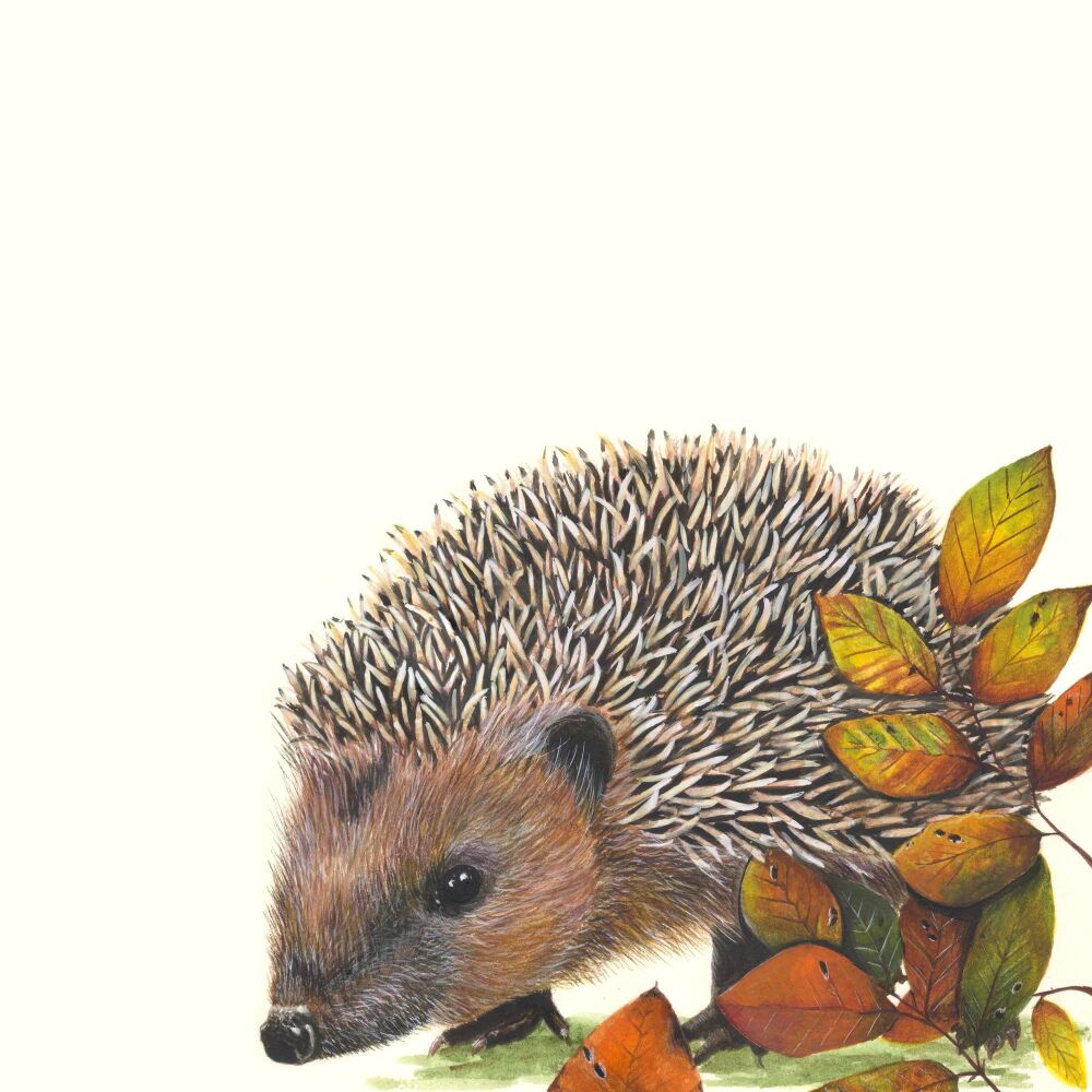 'Hedgehog Stroll,'  Giclee print