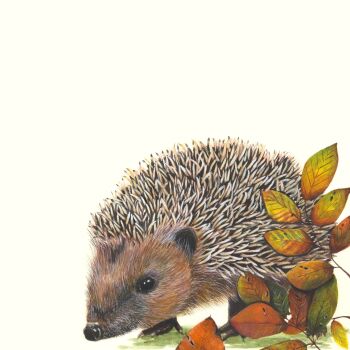'Hedgehog Stroll,'  Giclee print
