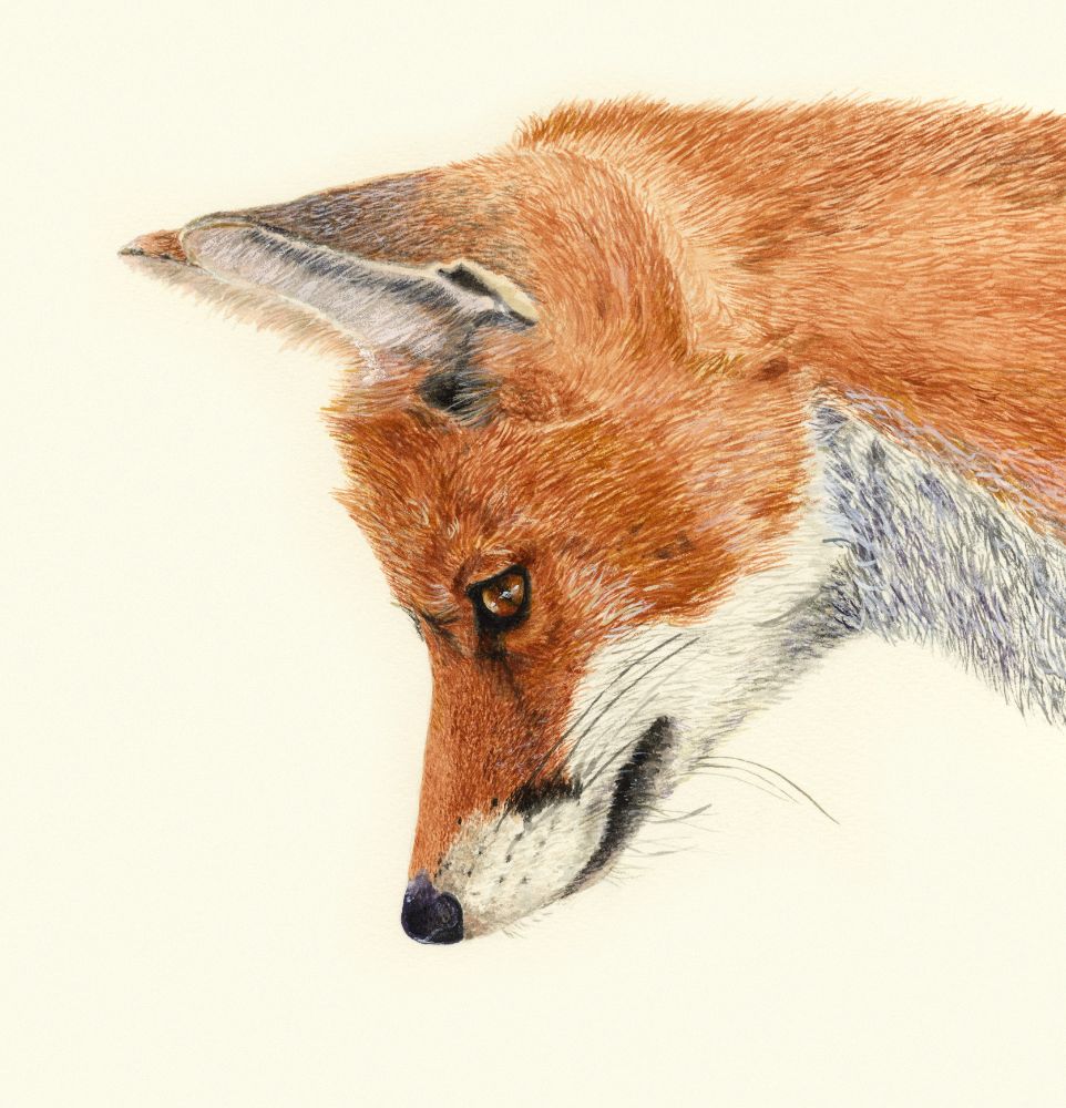 Painting Classes in Fareham Hampshire.