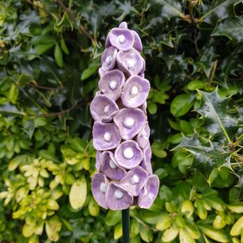 Hollyhock Flower Spike.