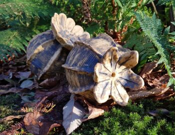 Saturday 17th May 10 am - 1pm, Poppy Ceramic Seed Heads