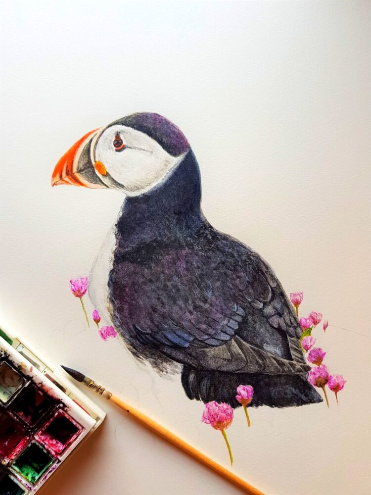 Beginners Watercolour 10 Week Course