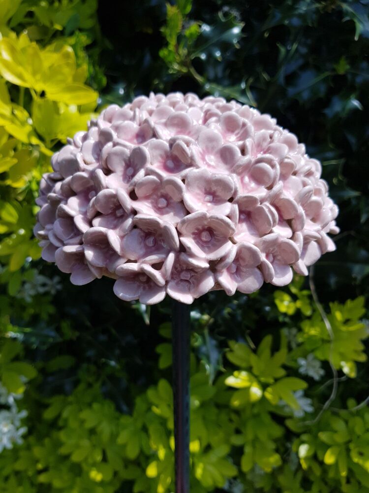 Laura's Private Party - Hydrangea workshop