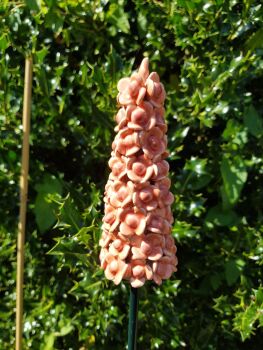 Ceramic Flower Spike in Salmon Pink.