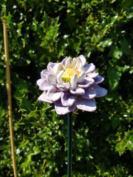Ceramic Dahlia Flower Head.