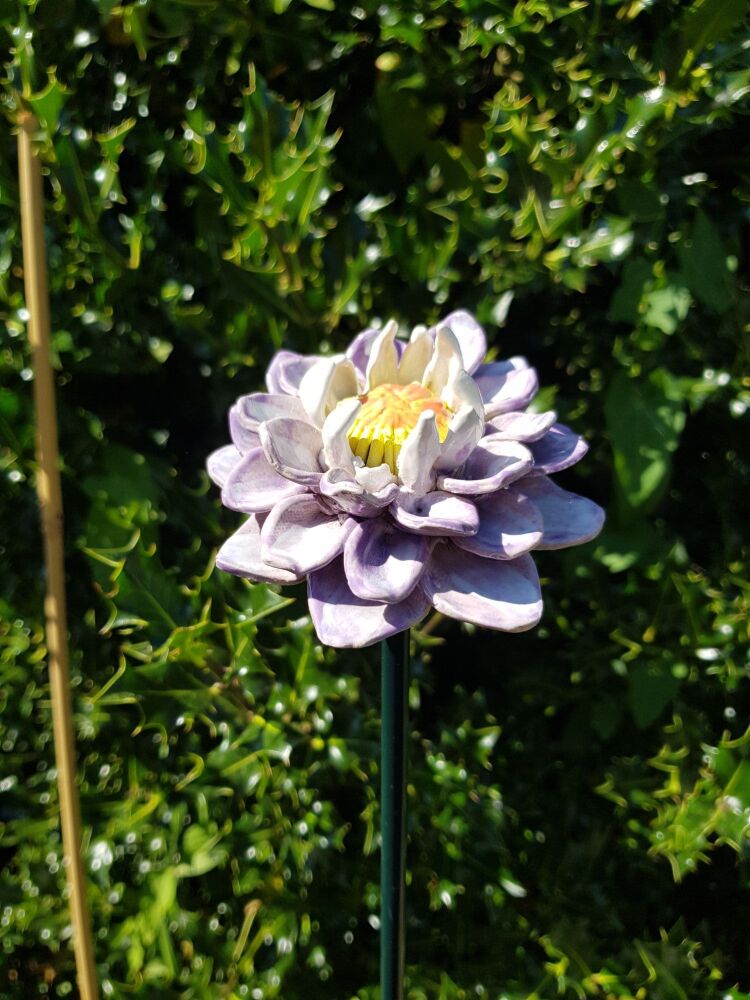 Ceramic Dahlia Flower Head.