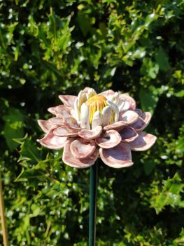 Ceramic Dahlia Flower Head.
