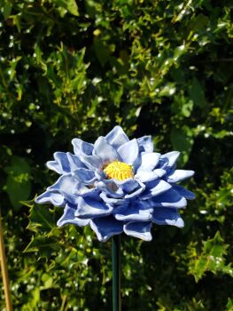 Ceramic Dahlia Flower Head.
