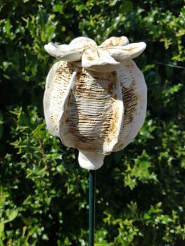 Ceramic Poppy Seed Head.