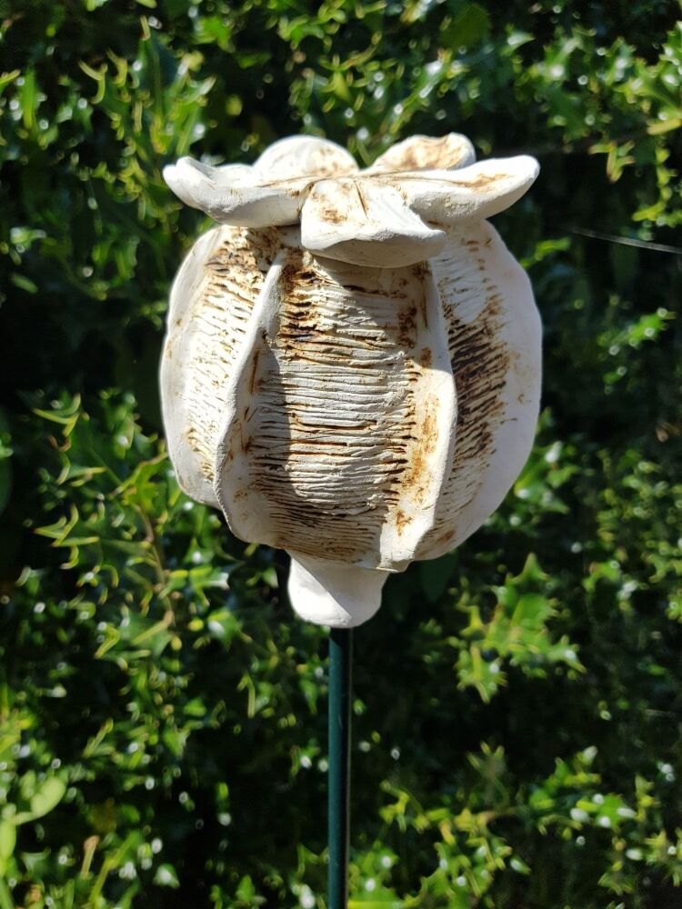 Ceramic Poppy Seed Head.