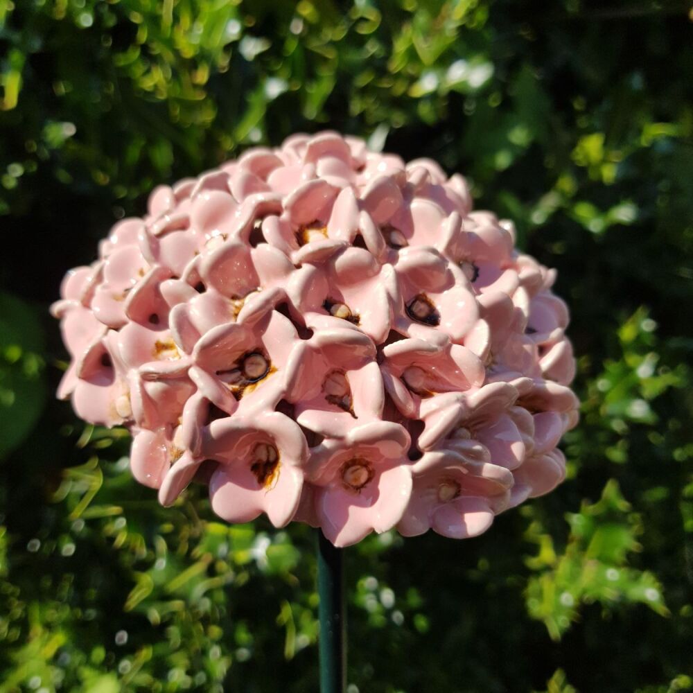 Saturday 30th May 2026, 10 am - 1pm, Hand building Hydrangea Flowers.