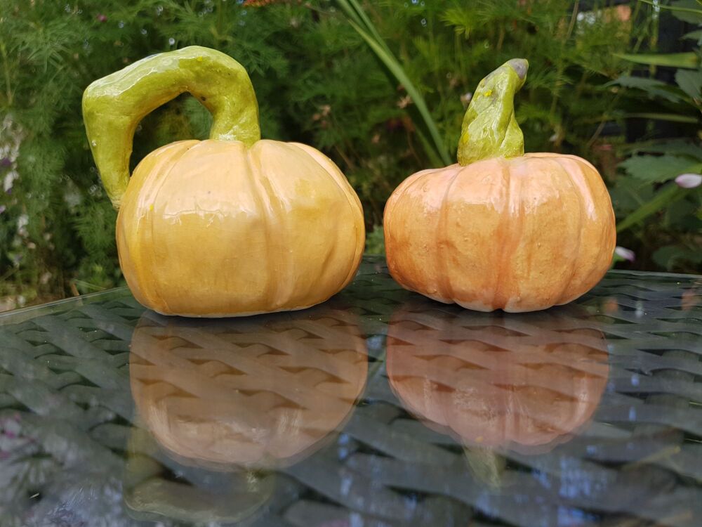 Saturday 26th September 2026, 10 am - 1pm, Hand building ceramic Pumpkins.