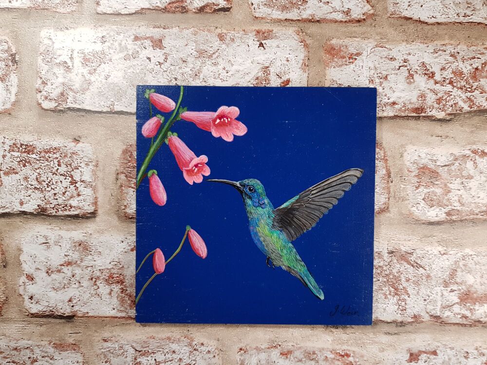 Saturday 14th February 2026.  Painting a Hummingbird on Flowers.
