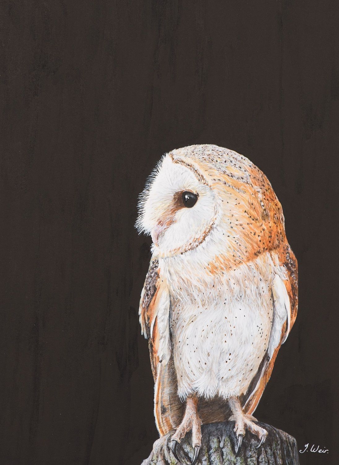 Saturday 13th June, Painting an Owl.