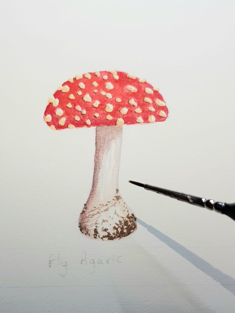 Saturday 14th November 2026, Painting Autumn Mushrooms.