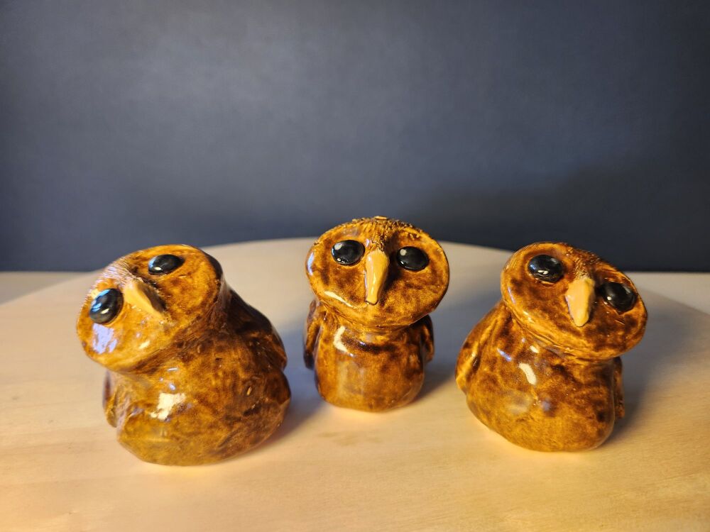 Saturday 22nd August 2026, 10 am - 1pm, Hand building 3 Little Owls in ston