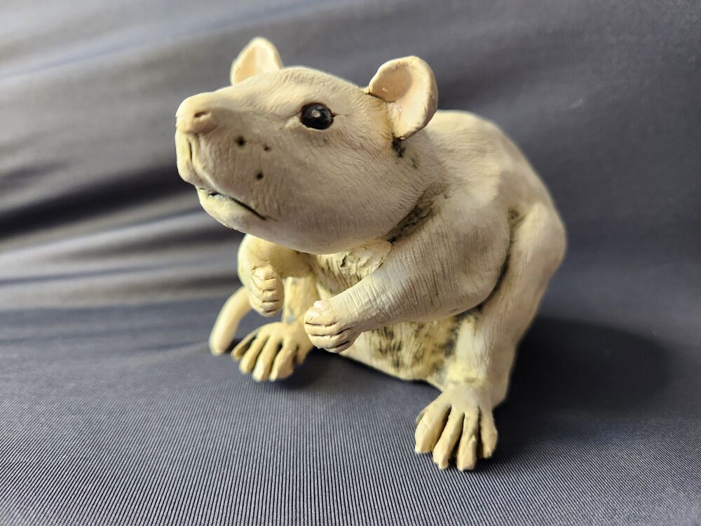 Ceramic Ratty