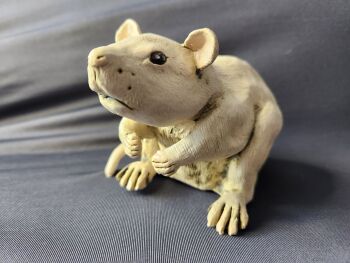 Ceramic Ratty