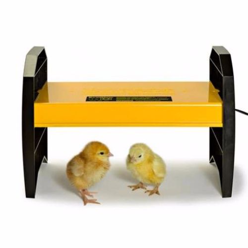 Brinsea Eco Glow 20W Brooder