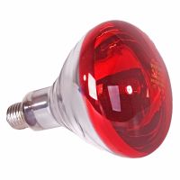 250w Infra Red Bulb