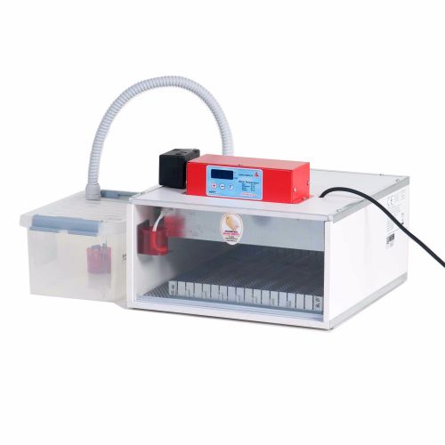 Maino PioPio 35 AXH