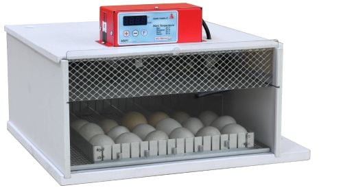 Maino PioPio 25 Egg Incubator D
