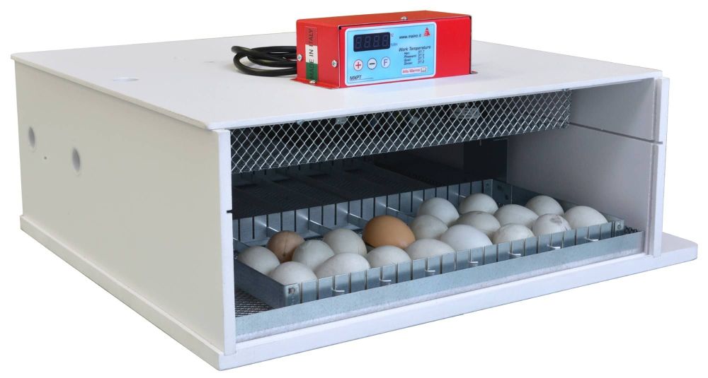Maino PioPio 56 D Egg Incubator 