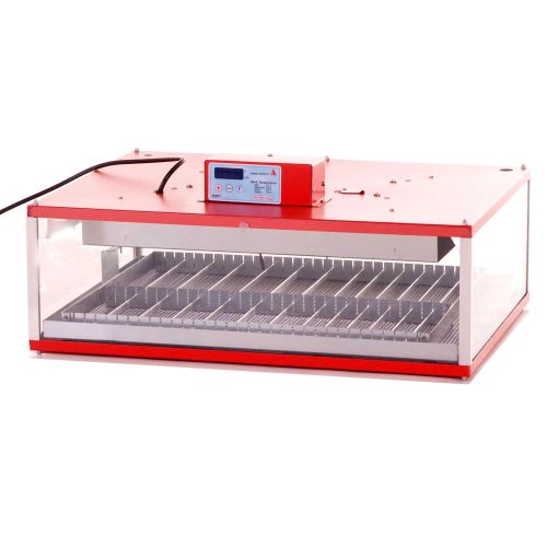 Maino See 77AX Incubator