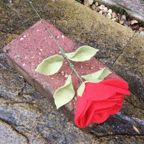 Single rose stem