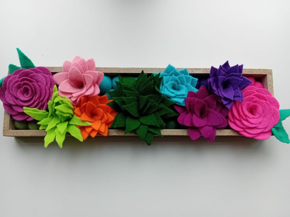 Succulent Tray